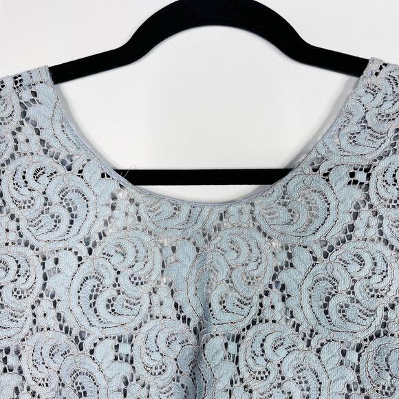 Zara Cropped Lace Short Sleeve Sheer Blouse Top Blue Small Scoop Neck Scoop Back - Picture 3 of 9